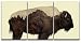 wall26 - Buffalo and Rocky Mountains - Canvas Art Wall Decor - 16"x24"x3 Panels