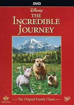 その他 Incredible Human Journey [DVD] Amazon.com: Incredible Human Journey (DVD) : Various