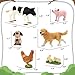 Beetots Farm Animals Toy Set, 12 Realistic Small Animal Figurines with Pets, Livestock, Poultry for Kids Ages 3+, Educational Learning Playset for Toddlers Boys Girls