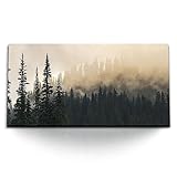 Paul Sinus Kunstdruck Bilder 120x60cm Tannenwald Tannen 