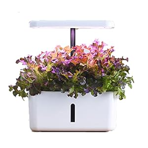 CYzpf 8 Pods Hydroponics Growing System,Intelligent Indoor Herb Garden with Grow Light, Plants Germination Kit with Pump…