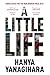 The People in the Trees & A Little Life By Hanya Yanagihara 2 Books Collection Set