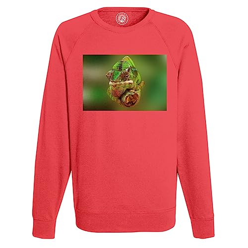 Sweat shirt homme chameleon vert au style tropical et sauvage