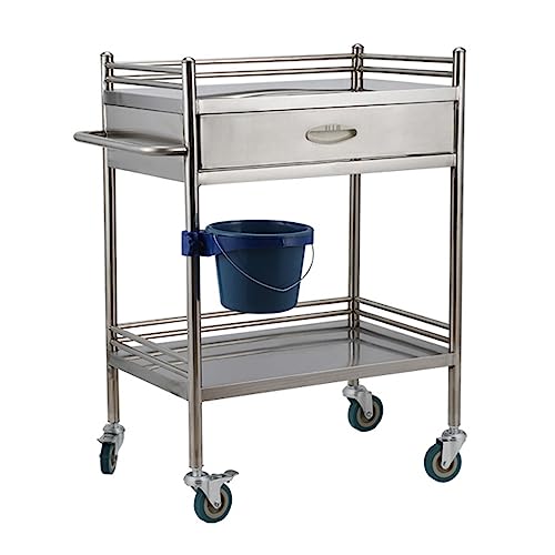 Carro médico de acero inoxidable – Carrito de laboratorio rodante de 2 niveles, capacidad de carga de 100 kg, duradero y versátil para clínicas, hospitales, equipos de fácil movilidad