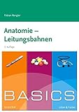  BASICS Anatomie - Leitungsbahnen