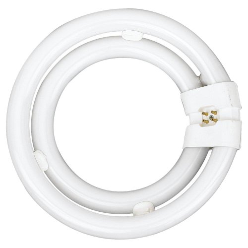 Sea Gull Lighting 97042 2C40 - Double Circline Fluorescent Bulb, 40-Watt