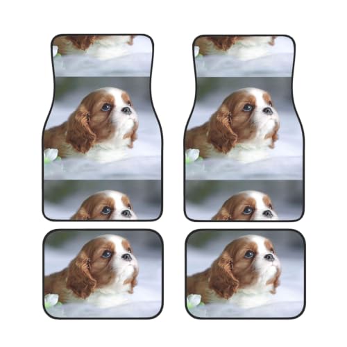 Alfombrillas para Coche de Cavalier King Charles Accesorios Antideslizantes