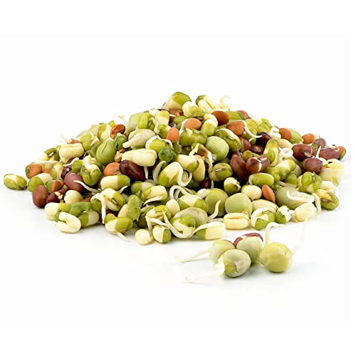 Todds Seeds Protein Bean Sprouting Seed Mix; Green Pea Mung Bean Adzuki Garbanzo Non-GMO Chemical Free High Germination (1/4 Pound)