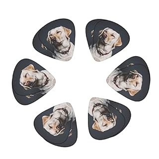 Ensemble de 12 médiators de guitare pour chien Labrador mignon pour guitare acoustique, guitare électrique, contrebasse… - Les Beatles, Paul McCartney, John Lennon, RIngo Starr, George Harrison Ensemble de 12 médiators de guitare pour chien Labrador mignon pour guitare acoustique, guitare électrique, contrebasse… – Image 2