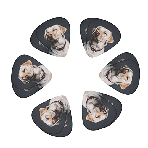 Ensemble de 12 médiators de guitare pour chien Labrador mignon pour guitare acoustique, guitare électrique, contrebasse… - Les Beatles, Paul McCartney, John Lennon, RIngo Starr, George Harrison Ensemble de 12 médiators de guitare pour chien Labrador mignon pour guitare acoustique, guitare électrique, contrebasse… – Image 3