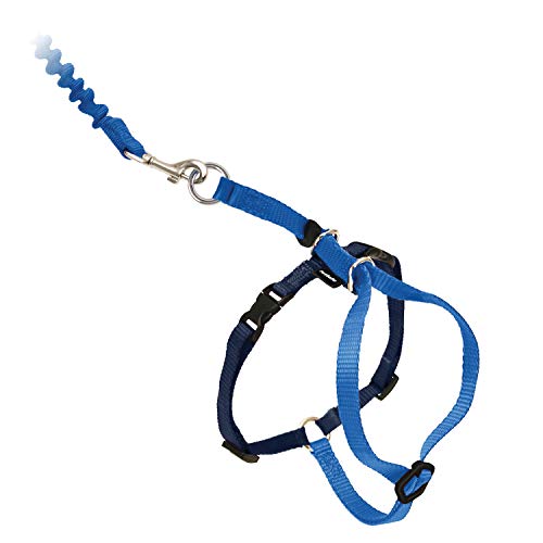 PetSafe Come With Me Kitty Harness and Bungee Leash, Harness for Cats, Large, Royal Blue/Navy