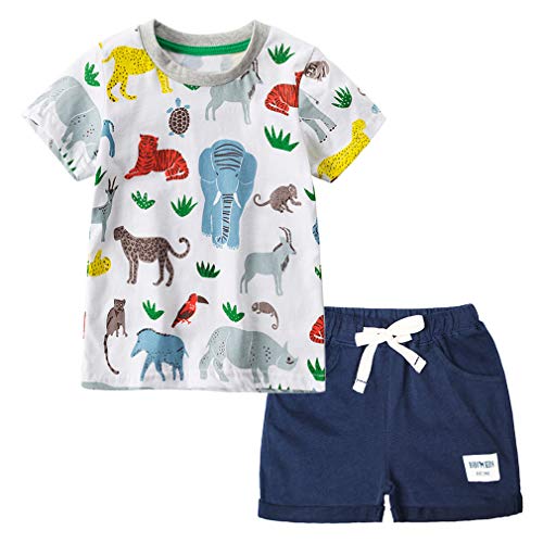 Image of Little Boys Shorts Set Toddler Boys 100% Cotton Summer Short Sleeve T-Shirts and Shorts Clothing Sets 2PCS
