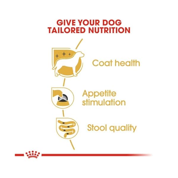 Royal Canin Yorkshire Terrier Adult | 12 x 85 g | Nassfutter für ausgewachsene Hunde im Frischbeutel | Ab dem 10. Lebensmonat | Zur Unterstützung von Fell und Stuhlqualität – Bild 7