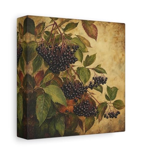 Art mural baies de sureau tableau de cuisine 15x15 cm, petite toile imprimée nature verte et noire