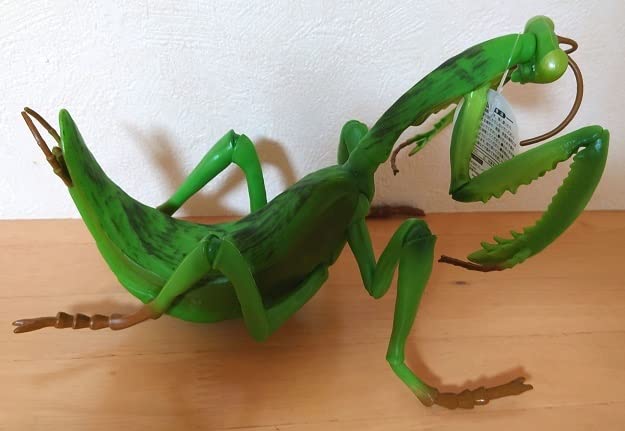 カマキリ　昆虫　フィギュア　BIG　大きい　オオカマキリ　2点 Amazon.co.jp: BIG カマキリ フィギュア タグ付き かまきり 蟷螂