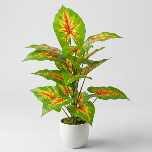 Image of Dekorly Artificial Caladium Plant Tree with White Pot 26 Inches | 66cm - Realistic Faux Leaf Plant for Home Decor, Bedroom, Living Room & Office