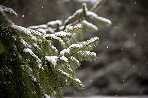 Tamron T81150 Objetivo Canon 35-150mm F2.8-4 VC OSD - Fernando Cortés Tamron T81150 Objetivo Canon 35-150mm F2.8-4 VC OSD - Fernando Cortés