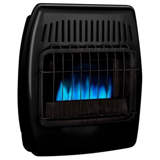 Dyna-Glo 10,000 BTU Liquid Propane Blue Flame Ice House Vent Free Wall Heater, Black