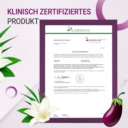 VITAMAX Natural Edition – Herbal Complex für Männer – Pflanzliche Formel für Energie & Vitalität – Praktische Wochenpackung 7 Einzelbeuteln