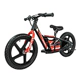 LEFELWEL Electric Dirt Bike for Kids, 180W Electric Motorcycle, 2 Speed Modes,...