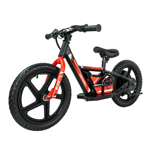 LEFELWEL Electric Dirt Bike for Kids, 180W Electric Motorcycle, 2