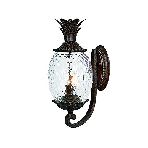 Acclaim 7501BC Lanai Collection 2-Light Wall Mount Outdoor Light Fixture, Black Coral - Image 2