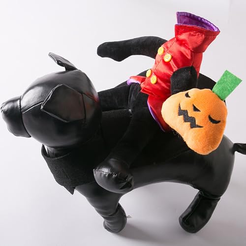 Disfraz para perro estilo caballero pequeño miniatura 4
