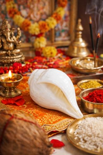 Image of Original Vamavarti Shankh for Pooja| Baynavarti Natural Conch for Puja, Temple, Home Decor, Mandir, Spiritual Use| Auspicious Loud Blowing Shankh for Vastu, Prosperity (9-11 cm)