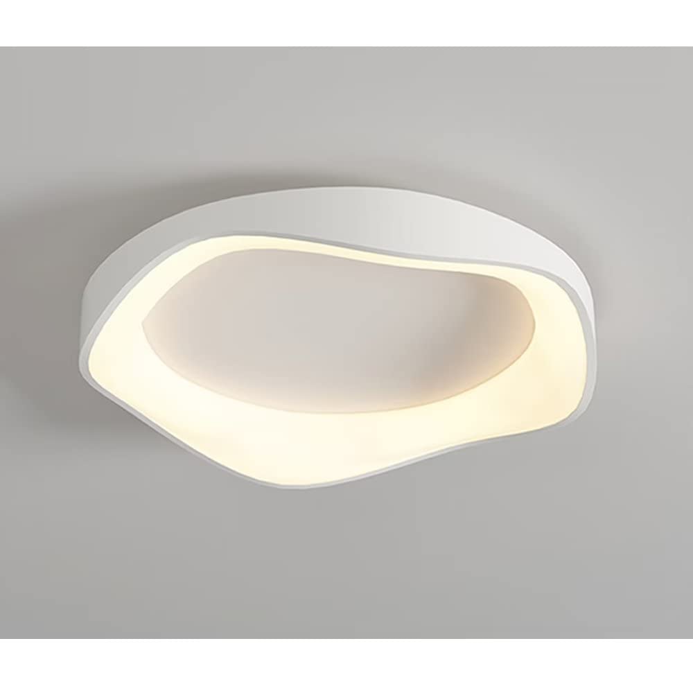 CENAP Dimmable LED Flush Mount Ceiling Light with Remote Control, Modern LED Minimalist Ceiling Lamp, 3000K/4000K/6000K Color Changing, 27W Grey Ceiling Lights LED Chandelier