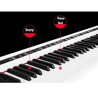 yankai Piano Droit Numérique 88 Touches Lestées, Piano Électrique Débutant pour Adulte Domestique, 99,9% De La Sensation… - Les Beatles, Paul McCartney, John Lennon, RIngo Starr, George Harrison yankai Piano Droit Numérique 88 Touches Lestées, Piano Électrique Débutant pour Adulte Domestique, 99,9% De La Sensation… – Image 3