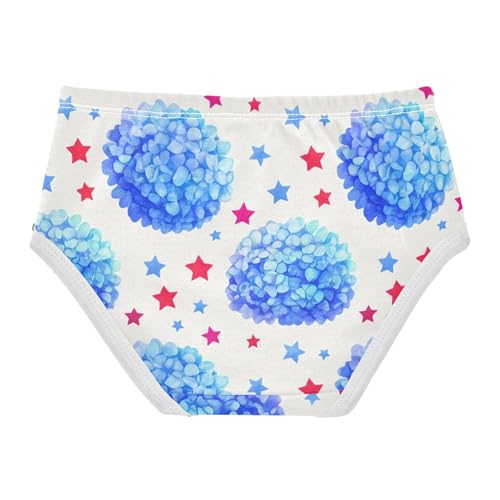 Blue Hydrangea Flowers Stars Panties Little Girl Toddler Underwear Floral Cotton Funny Undies Kids Briefs 2t2