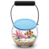 Novique Beach Aquarium Kit Clear Portable Plastic Fish Tank Catch and Release Design Transport Container for Kids Beach Must Haves Crab Catching Kit Small