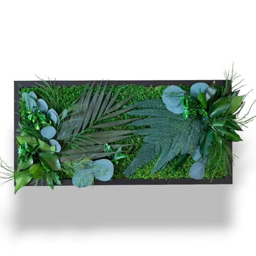 Générique Tableau Végétal Stabilisé BALI S 50 x 23 cm – Décoration Murale Naturelle | Plantes Stabilisées Sans Entretien | Fabriqué en France
