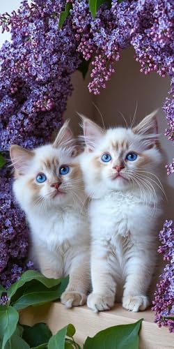 G ԙL Paint by Numbers hG Lbg l ʂ肦 lphGLoXNtg  LoXA[g uVƃANG̋, ItBX CeA rO, ւ̃Mtg 40x80cm (t[