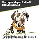 CopcoPet Hundehalsband aus Fettleder 30–34 cm x 15mm Braun – Geflochtenes Lederhalsband – Messing mit Dornschließe – Robust & verstellbar – Für kleine Hunde, ideal für Alltag & Training