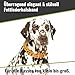CopcoPet Hundehalsband aus Fettleder 30–34 cm x 15mm Braun – Geflochtenes Lederhalsband – Messing mit Dornschließe – Robust & verstellbar – Für kleine Hunde, ideal für Alltag & Training
