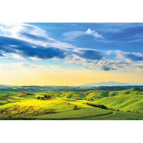 Fond de photographie herbe verte 3x2,5m Aoihrraan pour studio photo