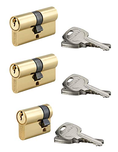 THIRARD - Cylindre de Serrure Double Entrée - Laiton - Mécanisme à 5 Goupilles - 30 x 30 mm + 30 x 10 mm - Gris - Lot de 2 + 1 - Panneton Anti-Arrachement - Livré avec 9 Clés Crantées