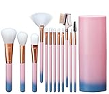 Elisel Makeup Brush Sets 12 Pcs Makeup Brushes Travel makeup brush set Eye shadow brush, foundation brush, blush brush and other cosmetic tools(Pink-Blue)