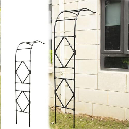 Tonnelle de jardin murale pour arche de mariage et décoration de plantes grimpantes