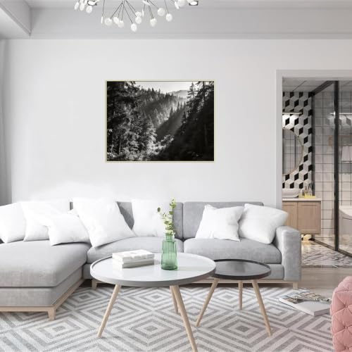 Tableau forêt noir et blanc 40x50cm avec cadre argenté - 3