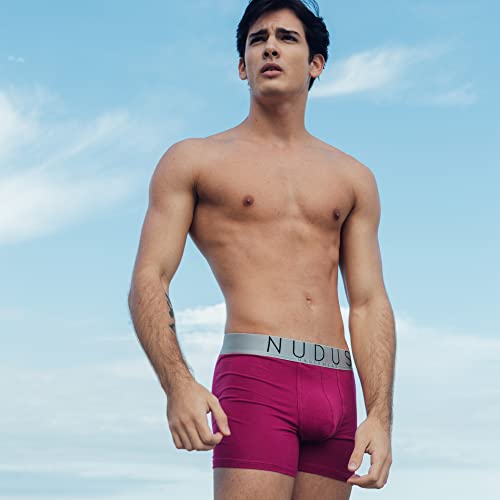 Nudus Men’s Underwear – 4-Pack Boxer Briefs – Luxury Cotton Underwear – Soft & Lightweight With Silk Waistband – White, Gray, Purple, Black – Choose Your Size #TOP2