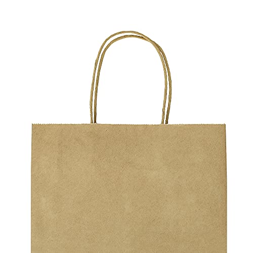 Bagmad B300-120 Sturdy 8X4.75X10 Inch 100 Pack Medium Thick Paper Bags With Handles Bulk, Bagmad Brown Kraft Bags thumb #6