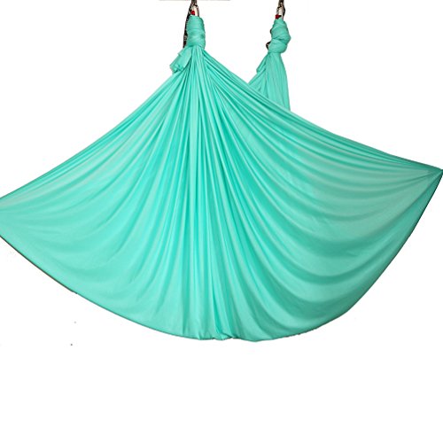 Wellsem Deluxe L:5.5 Yards W:3 Yard Pilates Yoga Flying Swing Aerial Yoga Hammock Silk Fabric For Yoga Bodybuilding(5Mx2.8M) (Seafoma Green) #TOP24