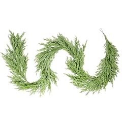 Green Norfolk Pine-1 Pack