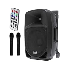 Portable system amplified by battery, with mp3 player, sd card, usb and bluetooth / ABS cabinet with carry handle and hole/ready for positioning on rod/12" Woofer 1" / 2 UHF radio microphone drivers (supplied in the included)- (863 - 865 Mhz) / Power...