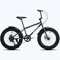 Amazon | ACEXIS ファットバイク Fat City Cruiser BMX 自転車 シティ