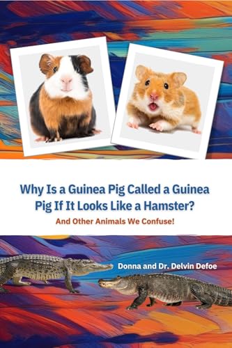 Why is a Guinea Pig Called a Guinea Pig if
