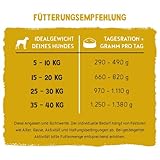 Bosch Freshe Schnauze, Huhn mit Kürbis und Brokkoli 8 x 250 g, Schonend Dampfgegartes Nassfutter für Hunde, Vollwertiges Alleinfuttermittel mit hohem Fleischgehalt, 8 x 250 g Hundenassfutter