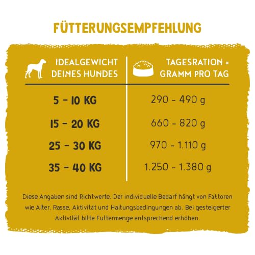 Bosch Freshe Schnauze, Huhn mit Kürbis und Brokkoli 1 x 250 g, Schonend Dampfgegartes Nassfutter für Hunde, Vollwertiges Alleinfuttermittel mit hohem Fleischgehalt, 250 g Hundenassfutter